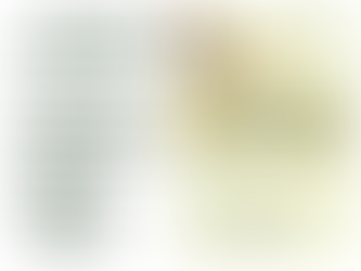 제 1회 약품화학분과학회