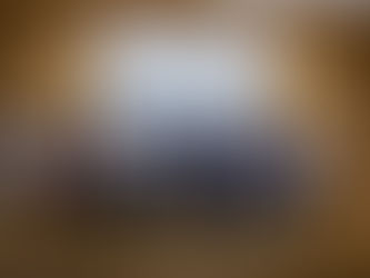 제13회 약품화학분과학회