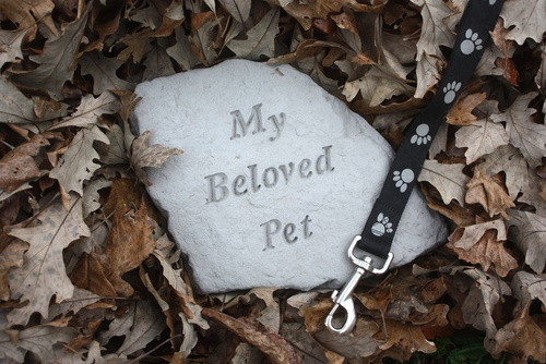Grief Support Plan for Pet Loss