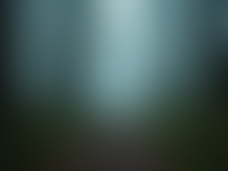 Navigating Uncertainty: Insights for Startup Growth