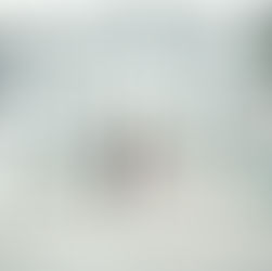 THE MOUNT, LENOX - S & E 