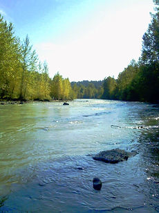 whiteriver.jpeg