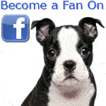 Find us on Facebook