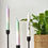 Thumbnail: Kaars met tekst paars/groen - set van 3