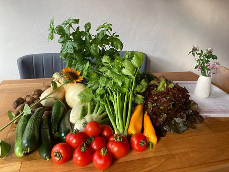 WhatsApp Image 2026-03-24 at 23.34.55.jpeg