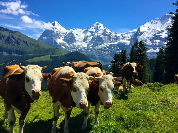 Hiking in Lauterbrunnen