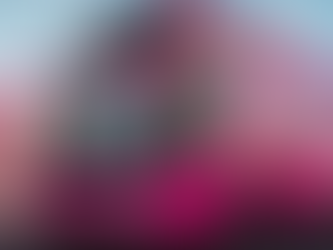 Onde comprar passagens de ônibus interestadual e sair viajando sem gastar muito?