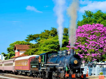 🚂✨ Dica de Roteiro: Passeio de Trem em Guararema (SP) — História, Gastronomia e Paisagens