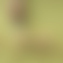 Como Reduzir Seus Custos Mensais com Energia Solar