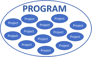 How to tell the difference between Programs and Projects