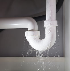 home inspection NWA