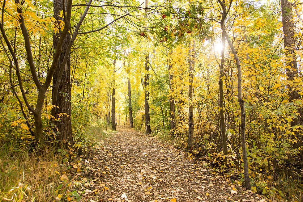 Donated by Brent.jpg