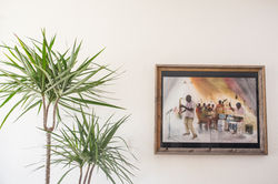 House_interior_design_interior_designer_near_me_Trippe_interiors_San_Diego_8