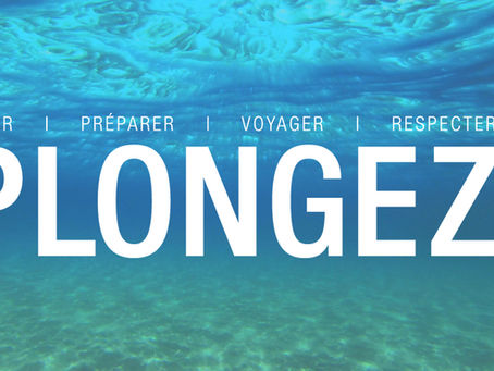 Nouveau partenaire : Plongez !