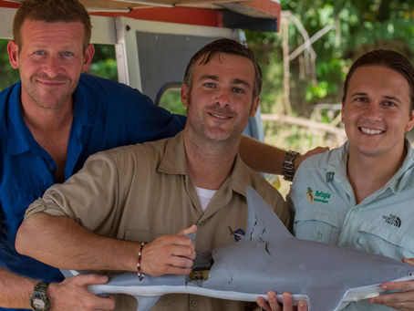 Le documentaire Jungle Shark rejoint la compétition documentaire!