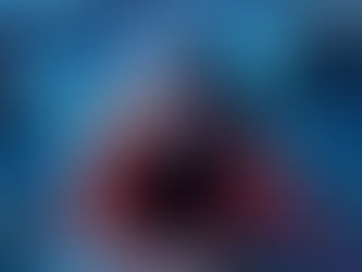 Noah's Shark en exclusivité mondiale au Paris Shark Fest !