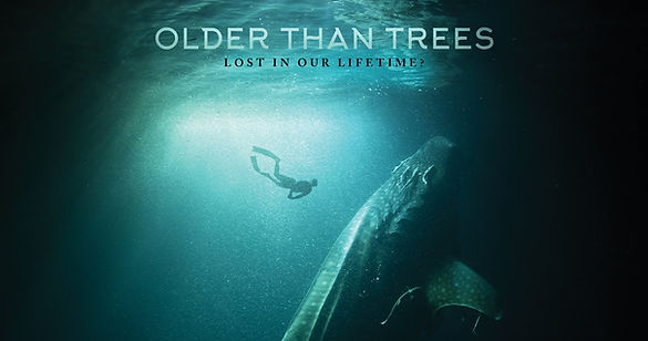 older than trees.jpg