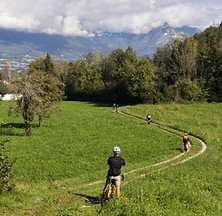 Strade e natura