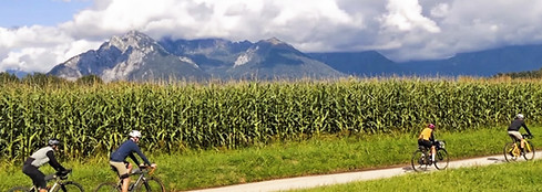 tour con amici con sfondo campo grano in valbelluna e dolomiti Bellunesi