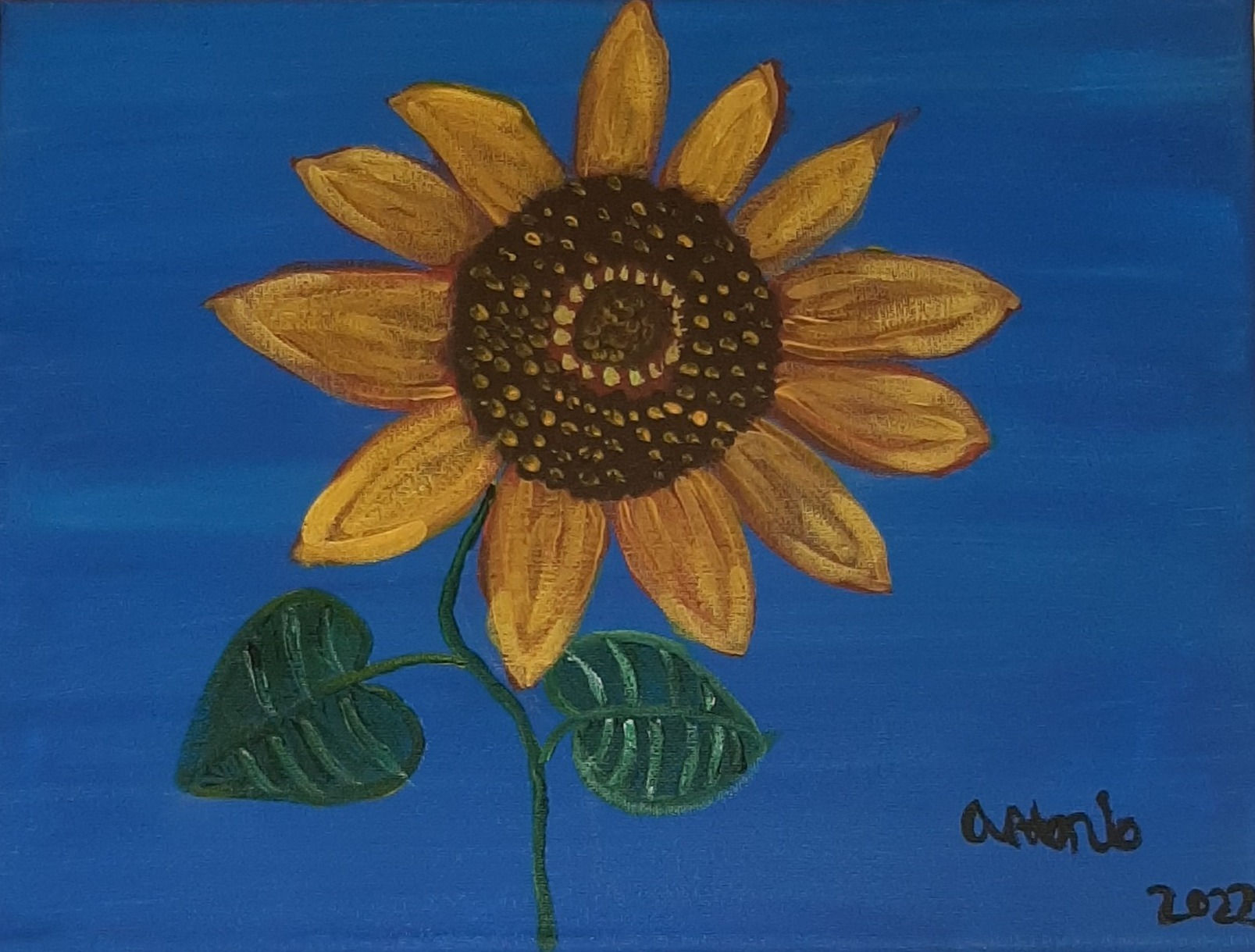 The Sunflower