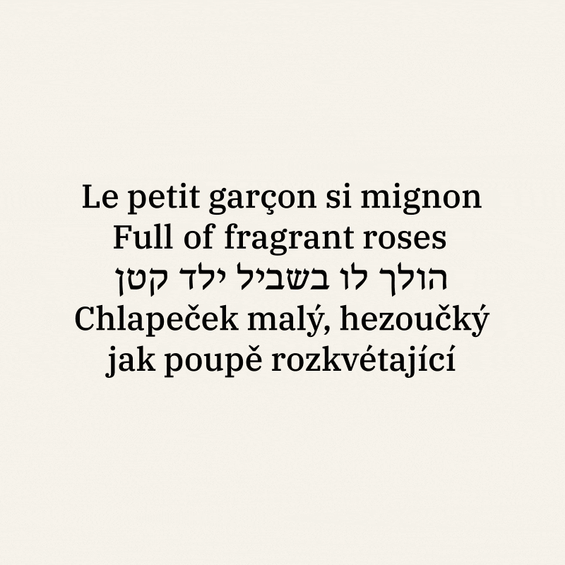 Cover Czech.gif