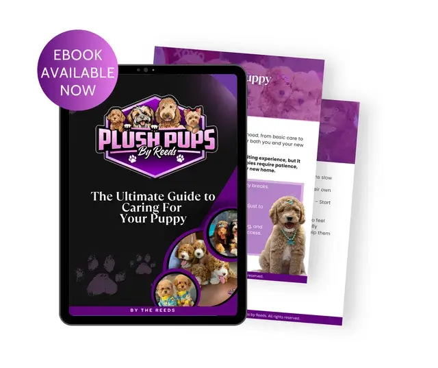 The Ultimate Guide to Caring for Your Puppy (EBook)