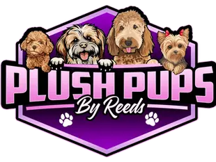 How to Choose the Right Pup for Your Family or Lifestyle