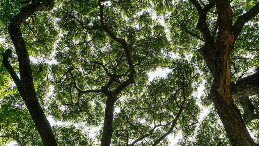 AdobeStock_313025939.jpeg