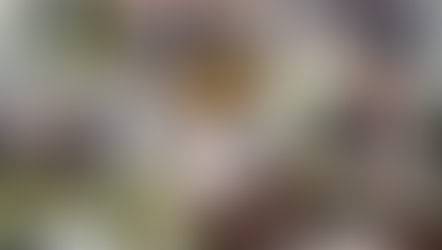 Rav Jacques Cukierkorn: Um Rabino que ousou desafiar o “status quo” do Judaísmo