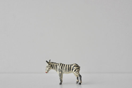 Adam Binder 動物 フィギュア シマウマ Zebra Crossing Adam