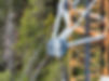 DJI_20240505161456_0009_Z.JPG