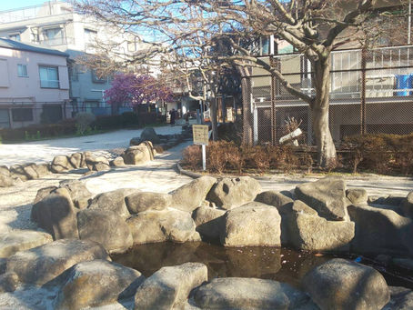 4月5日　zoom会のお知らせ