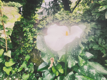 性（さが）の三つのレベル