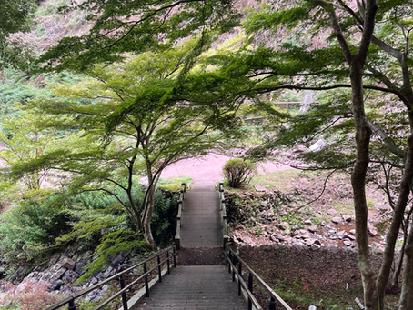 トラウマの大元