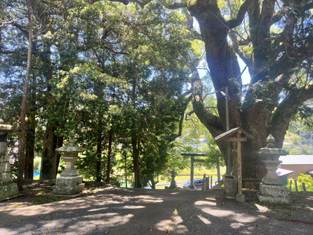 僕の価値観と人の価値観