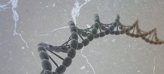 Night owl thoughts at dawn questions: What would you genetically change about humans to make them a better species?