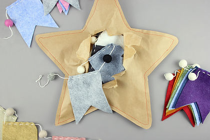 Bunting Star Collection.jpg