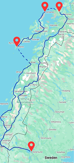 Untitled design (5).png