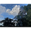 Miniatura: Landscape VII