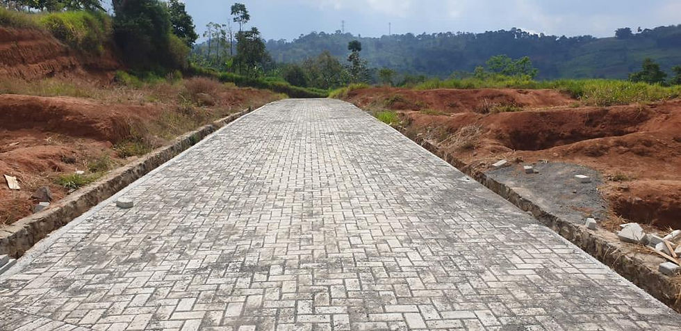 WhatsApp Image 2023-08-17 at 3.24.35 PM