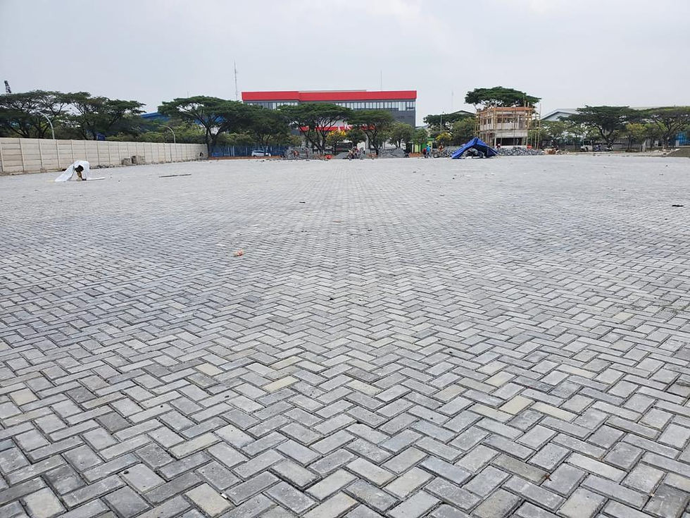 WhatsApp Image 2023-01-24 at 14.55.59 (3)