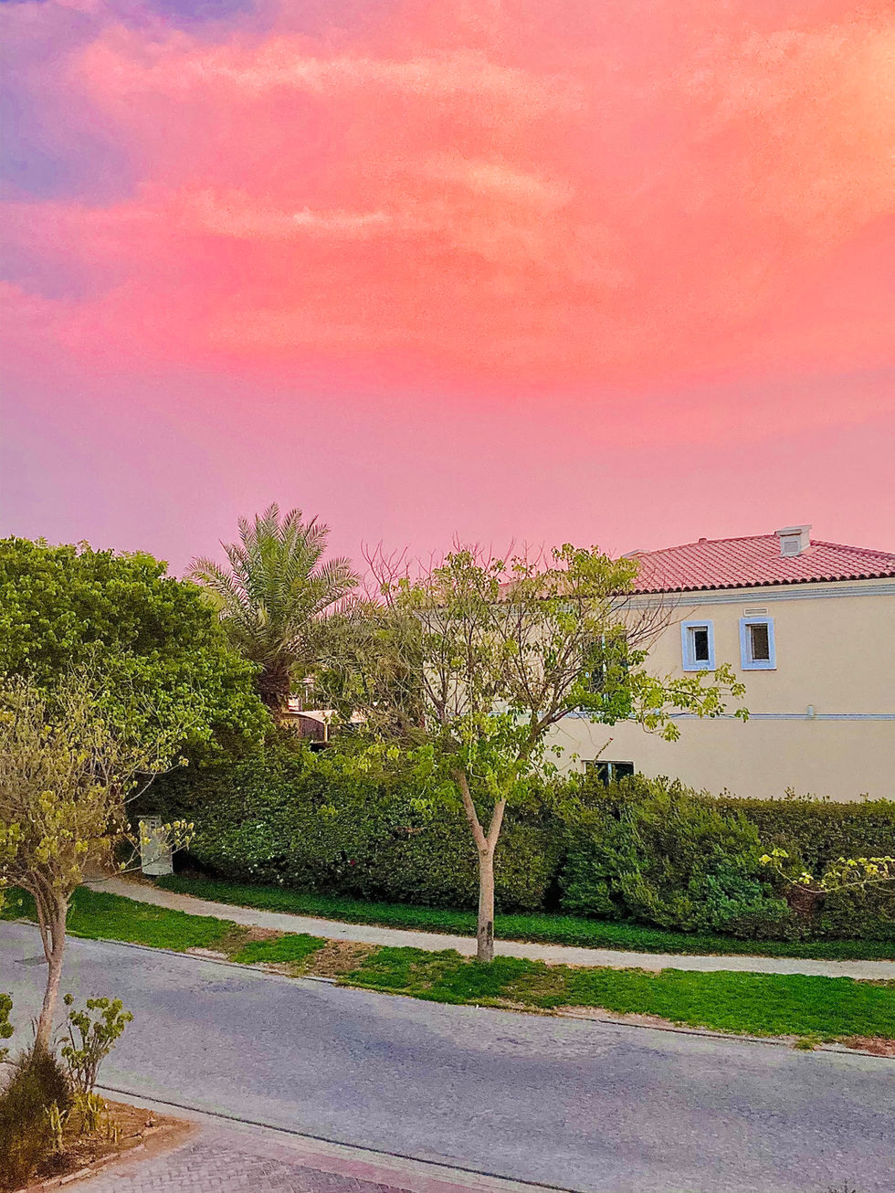 Cotton Candy Skies