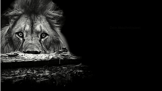 Dein Abschnittstext-2 Kopie 8.png