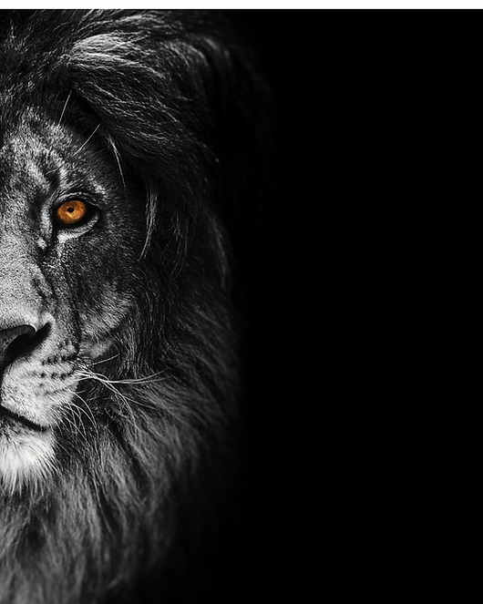 Dein Abschnittstext-2 Kopie 9.png