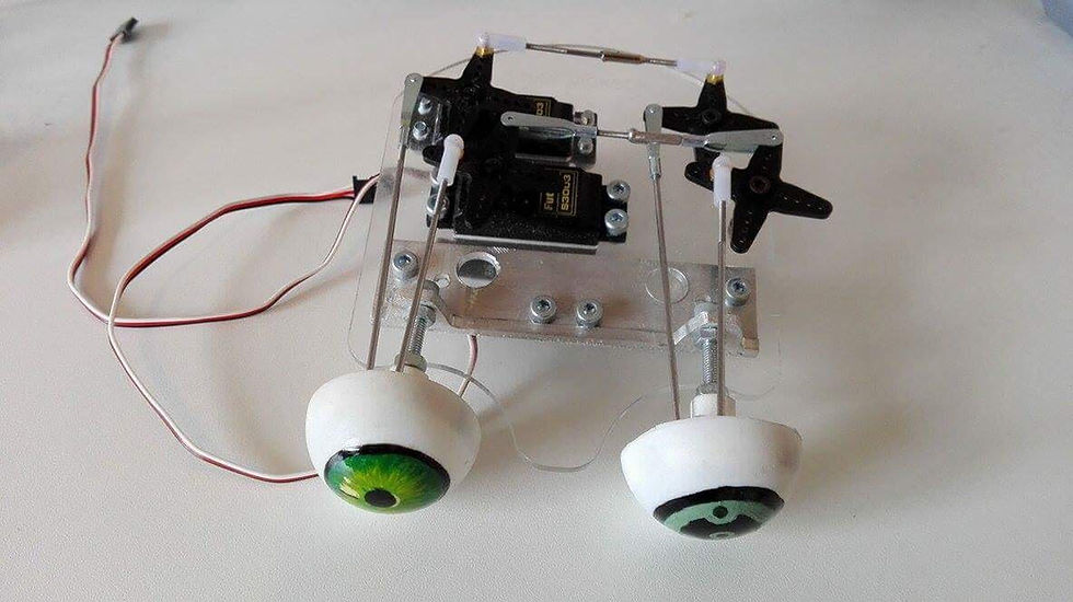 eyes mechanism