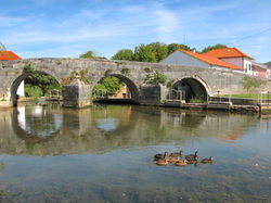 Bridge in Redinha