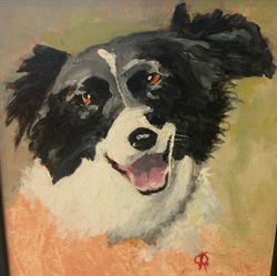 Chris Ridsdale  Dog