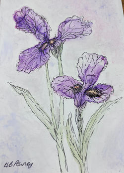 Helen Powney  Flower