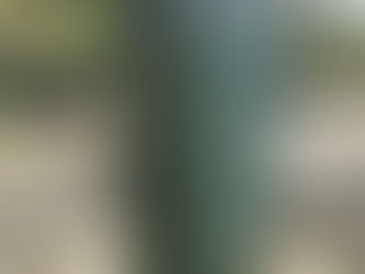 Ingestone Fishery - A fascinating glimpse into the Past