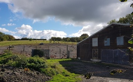 Fish Legal - December 2022 Newsletter